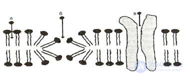 2.1.+ ПОСТУПЛЕНИЕ, ПРЕВРАЩЕНИЕ И ВЫДЕЛЕНИЕ ВРЕДНЫХ ВЕЩЕСТВ В БИОЛОГИЧЕСКОМ ОРГАНИЗМЕ