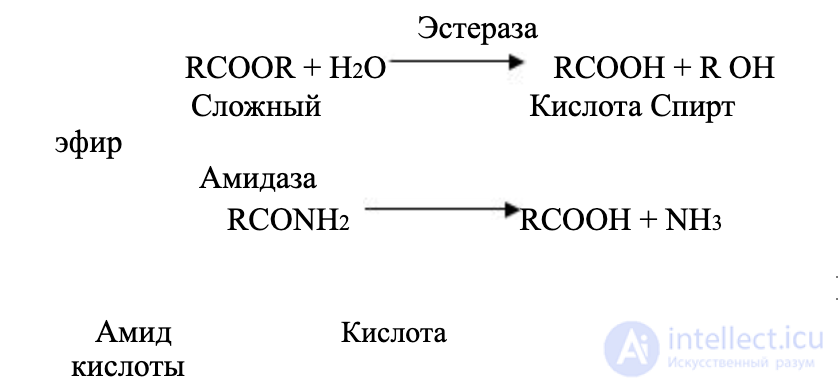2.1.+ ПОСТУПЛЕНИЕ, ПРЕВРАЩЕНИЕ И ВЫДЕЛЕНИЕ ВРЕДНЫХ ВЕЩЕСТВ В БИОЛОГИЧЕСКОМ ОРГАНИЗМЕ