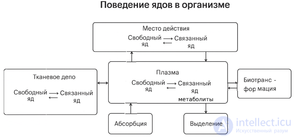 2.1.+ ПОСТУПЛЕНИЕ, ПРЕВРАЩЕНИЕ И ВЫДЕЛЕНИЕ ВРЕДНЫХ ВЕЩЕСТВ В БИОЛОГИЧЕСКОМ ОРГАНИЗМЕ
