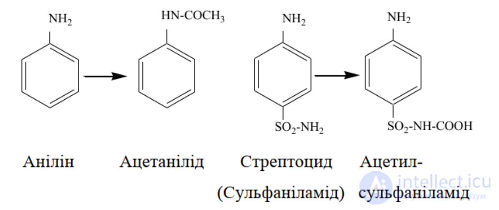 1.7. Процессы конъюгации