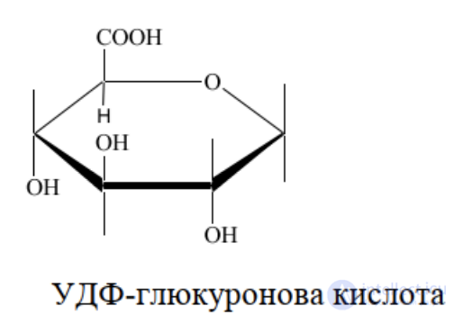 1.7. Процессы конъюгации