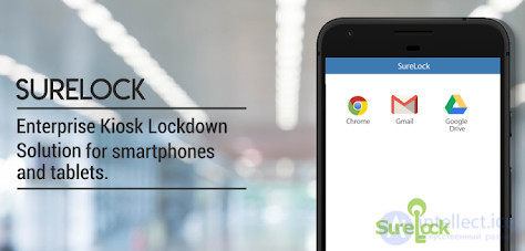 Киоск режим (KIOSK MODE) сущность, особенности и практика