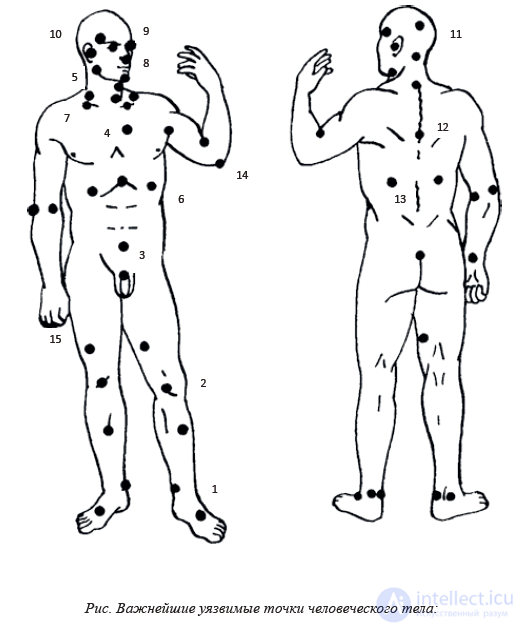 6.4 Топография уязвимых частей человеческого тела