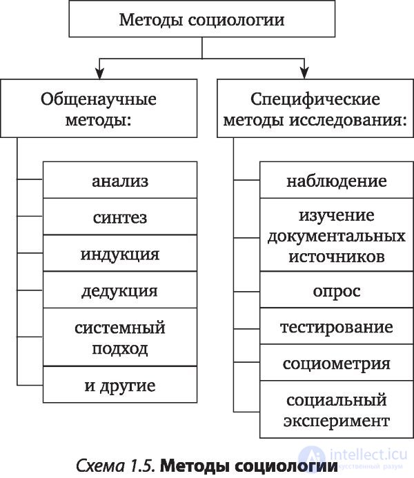 Введение в социологию, объект, предмет, теории, методы