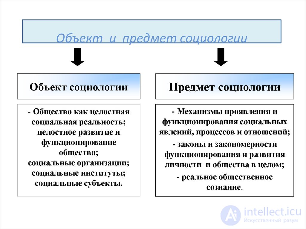 Введение в социологию, объект, предмет, теории, методы