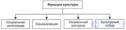 3. ОБЩЕСТВО КАК СОЦИОКУЛЬТУРНАЯ СИСТЕМА