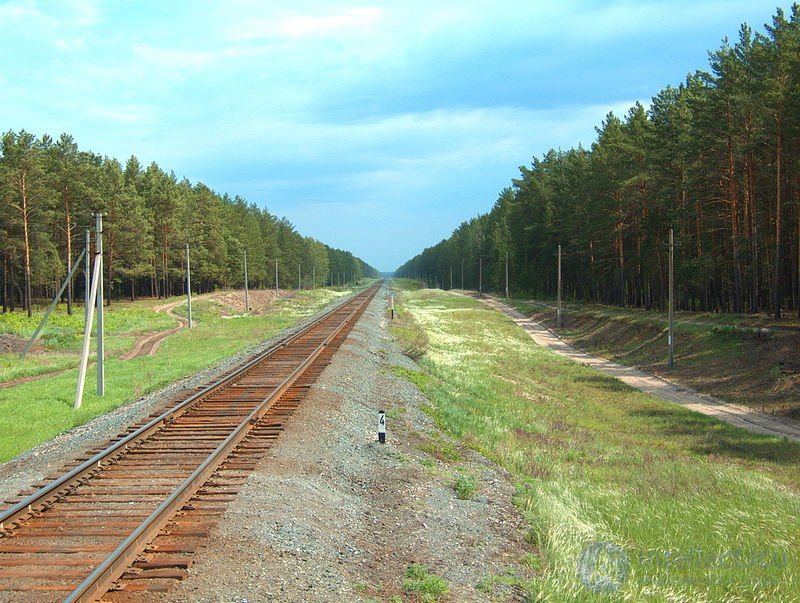 Перспектива Общие сведения