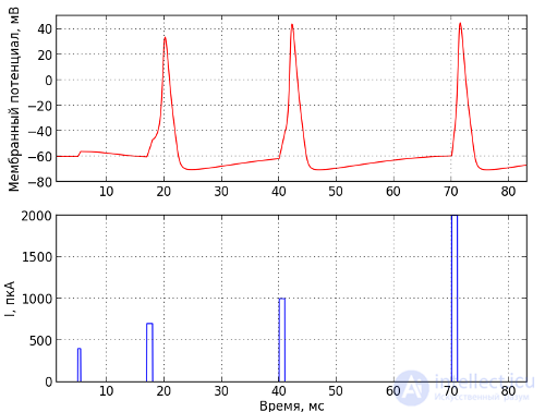 Моделируем электрическую активность нейронов