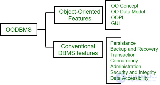 Возможности ООСУБД