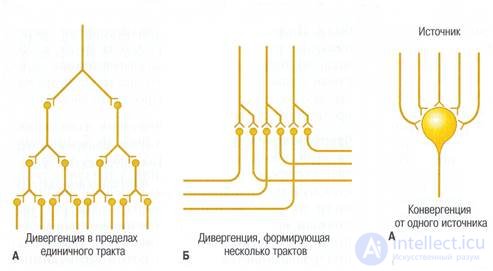 Метамодели нейронных сетей