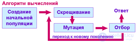 Эволюционное моделирование и генетический алгоритм