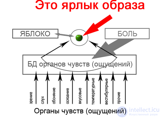 8 Моделирование понятий - Моделирования человеческих рассуждений