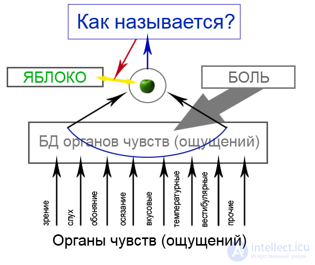 8 Моделирование понятий - Моделирования человеческих рассуждений