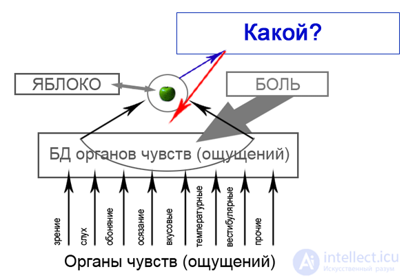 8 Моделирование понятий - Моделирования человеческих рассуждений