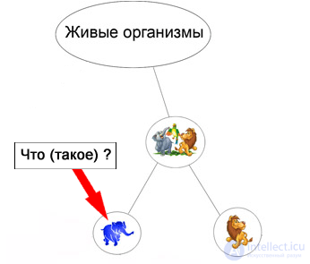 8 Моделирование понятий - Моделирования человеческих рассуждений