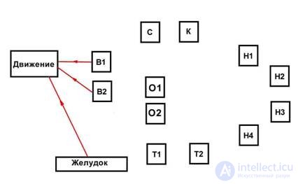 Модель мышления