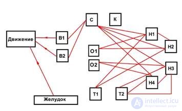 Модель мышления