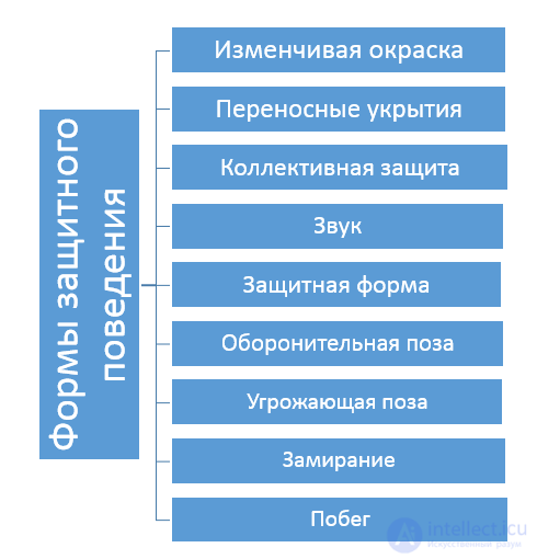 3.1. Основные формы поведения животных