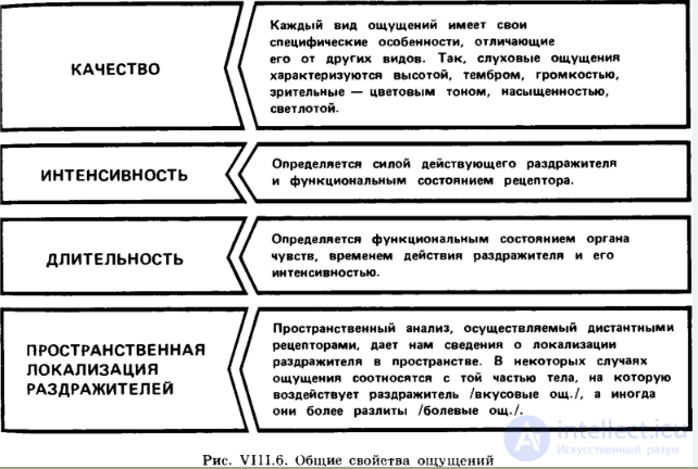 Ощущения, классификация, возникновение свойства