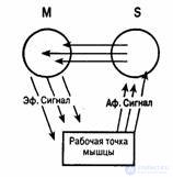 5. Психологическая теория деятельности, активность и реактивность