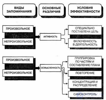 10.   Память, запоминание, сохранение, воспроизведение, узнавание  - как психические процессы, виды, развитие и патология