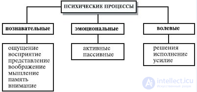 10.   Память, запоминание, сохранение, воспроизведение, узнавание  - как психические процессы, виды, развитие и патология