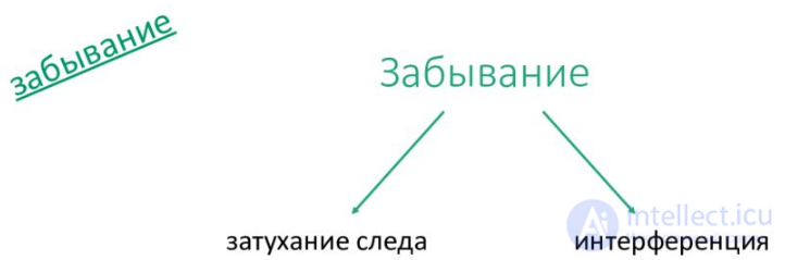 10.   Память, запоминание, сохранение, воспроизведение, узнавание  - как психические процессы, виды, развитие и патология