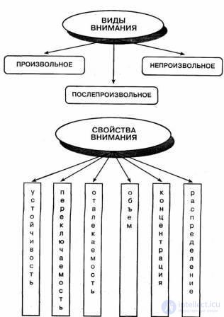 14.  Внимание - как психический процесс, виды, свойства, модели, развитие и патология