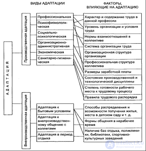 18. Адаптация человека и функциональное состояние организма