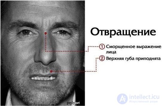 Отвращение Как выглядит отвращение