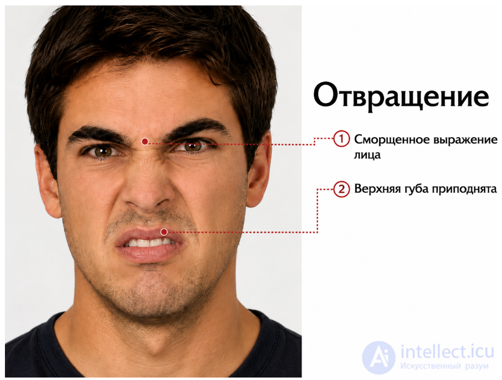 Эмоция Отвращение, презрение, как выглядит и распознать эмоцию отвращение у себя и других