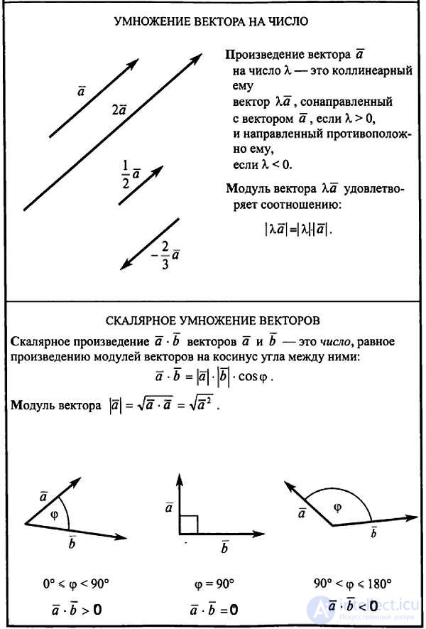 Векторы в линейной алгебре и программировании