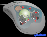 Компьютерная мышь