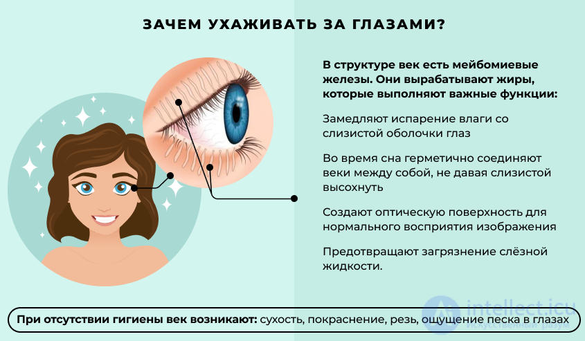 5 Физиология и гигиена сенсорных систем. Зрительная и слуховая система человека