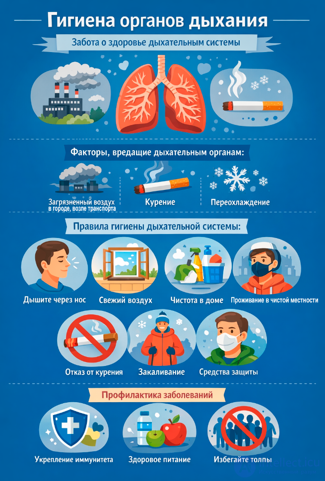 6 Возрастные особенности сердечно-сосудистой системы и органов дыхания и их гигиена