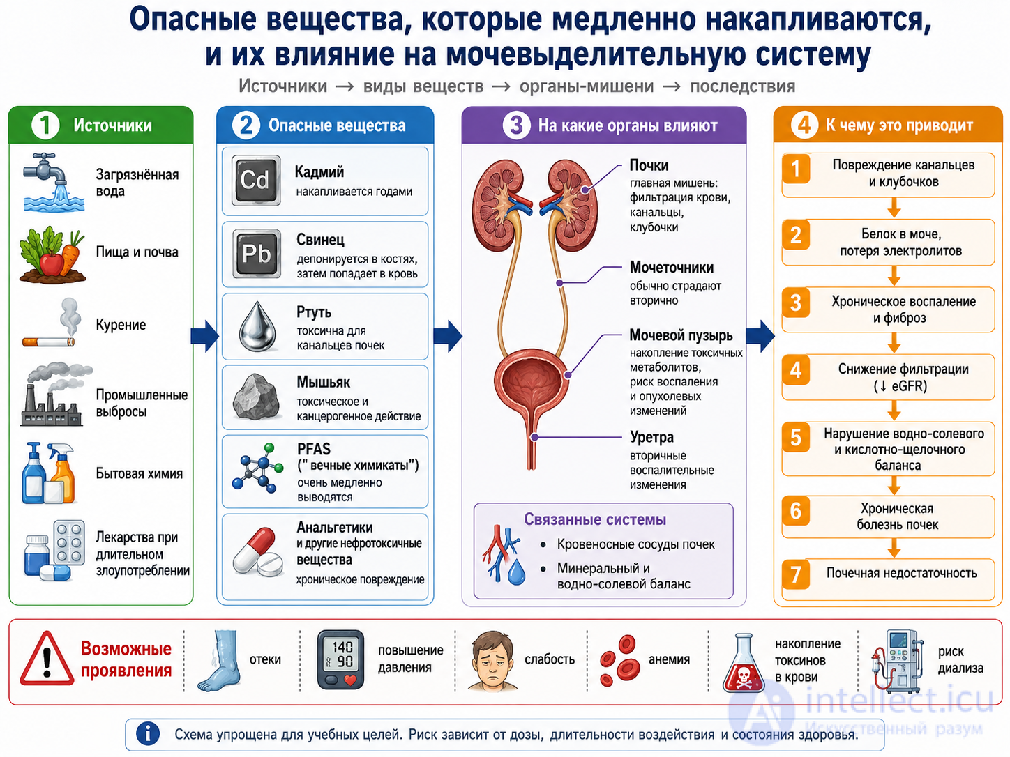 7 Возрастные особенности и гигиена органов пищеварения и выделения