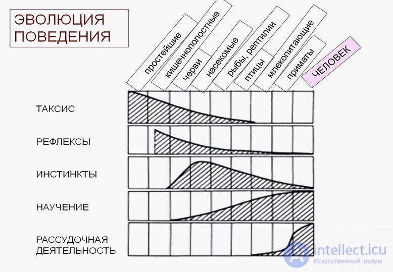 8 Высшая нервная деятельность. Рефлексы. Классификация рефлексов. Условия и механизмы образования условных рефлексов.