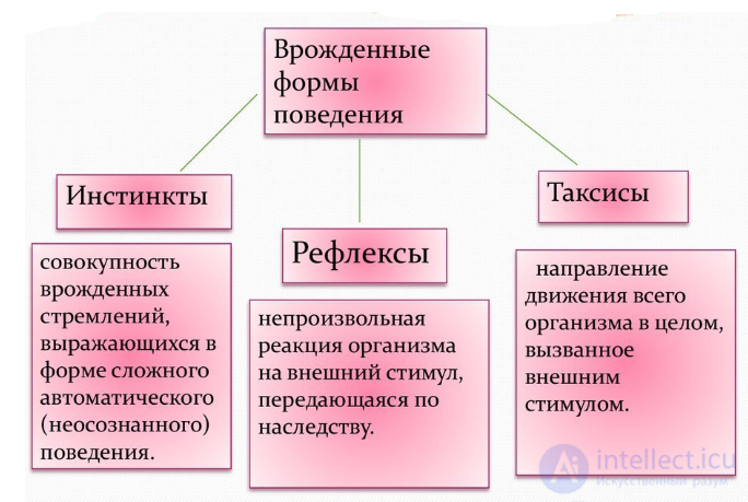 8 Высшая нервная деятельность. Рефлексы. Классификация рефлексов. Условия и механизмы образования условных рефлексов.