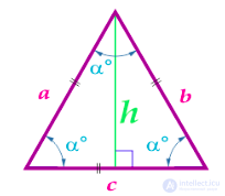 Площадь треугольника, формулы площадей прямоугольных, равносторонних, равнобедренных, общего вида треугольников