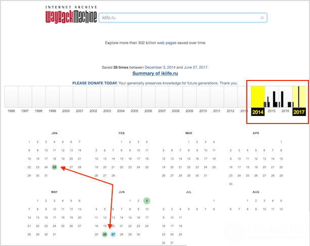 Что нужно проверять перед регистрацией домена?