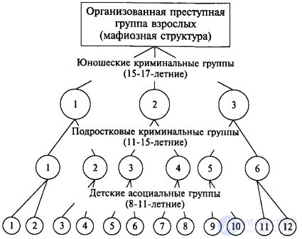 2. Характеристика криминальных групп несовершеннолетних по возрастному составу