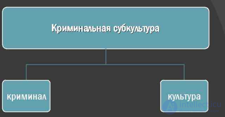 1. Сущность и эмпирические признаки криминальной субкультуры  Глава IV.        Криминальная субкультура как механизм воспроизводства групповой преступности несовершеннолетних