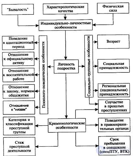 2. Структура криминальной субкультуры и ее функции. Понятие о структуре криминальной субкультуры