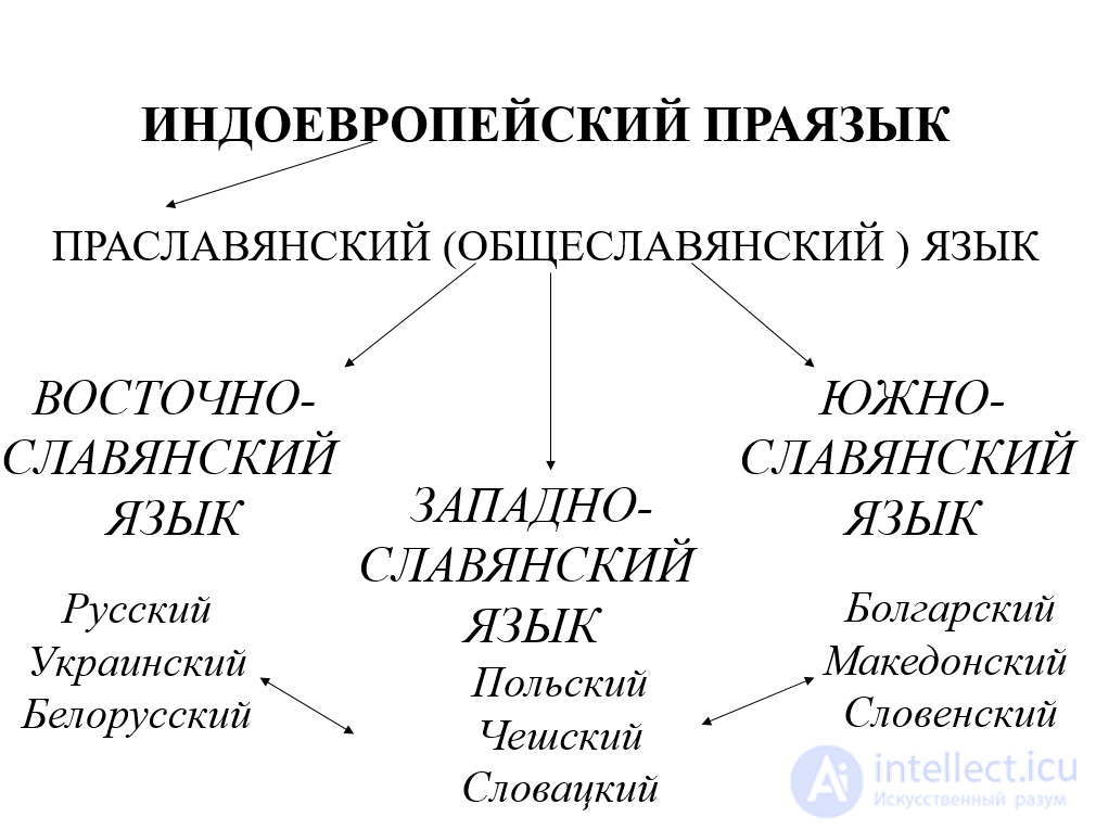 Язык и история общества (вопрос о развитии языка)