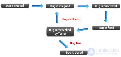 Ошибки (Bugs), Баг Репорт (Bug Report) системы отслеживания ошибок