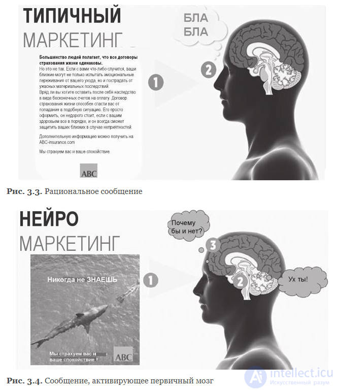 Нейробиология принятия решений