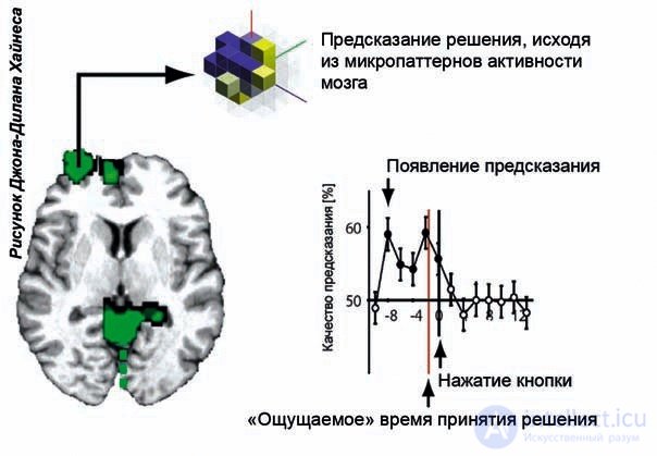 Нейробиология принятия решений