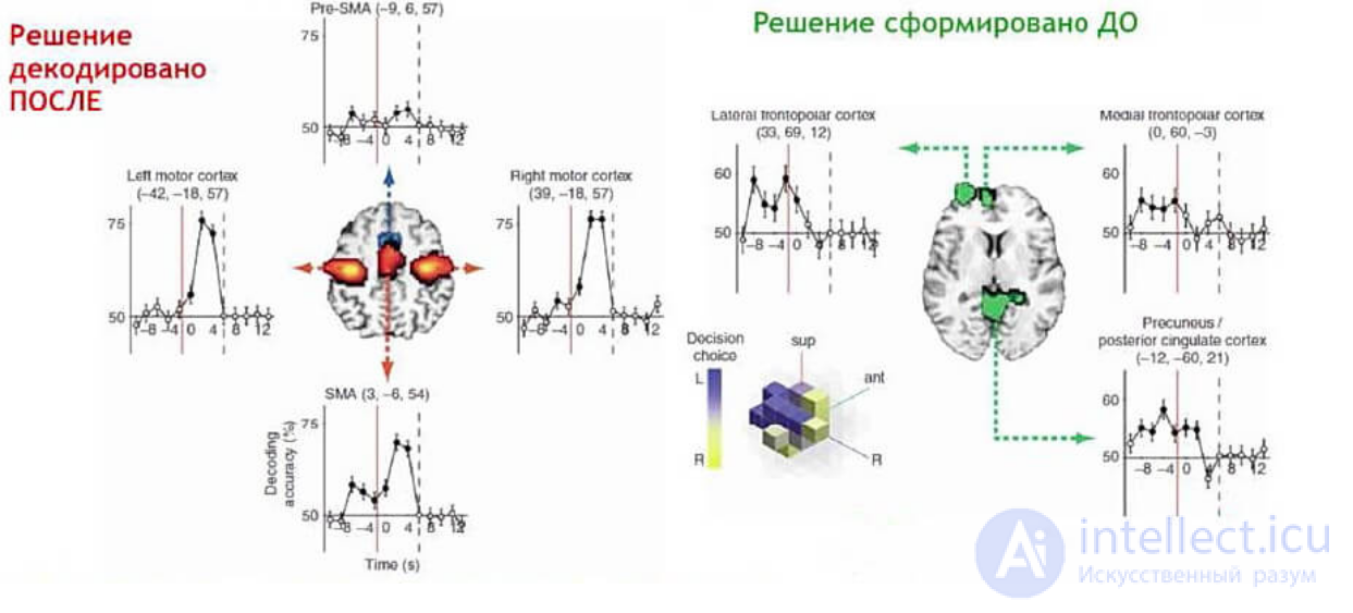 Нейробиология принятия решений