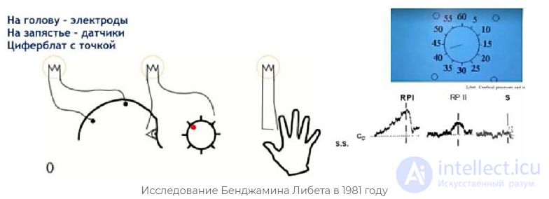 Нейробиология принятия решений