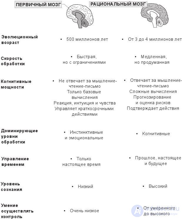 Рациональные и эмоциональные системы мозга